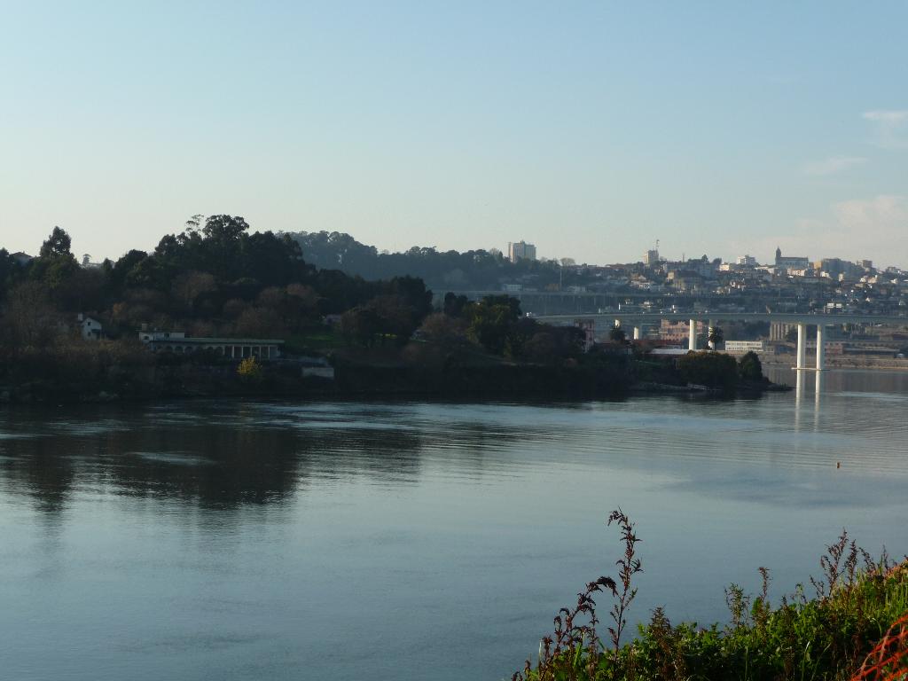 [P1010228_Medium.JPG]