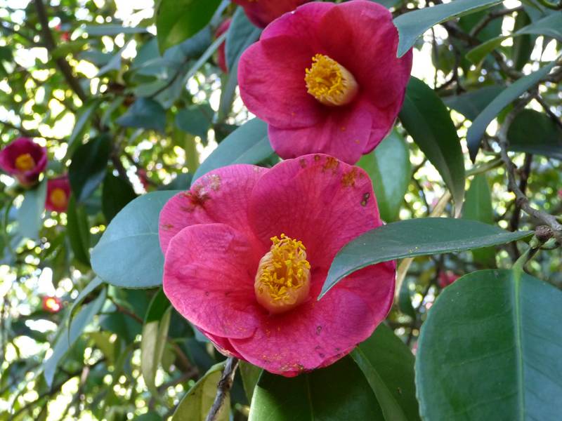 [P1010168+(Medium).JPG]