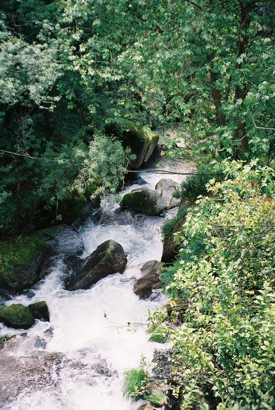 [F1000004+(Medium).JPG]