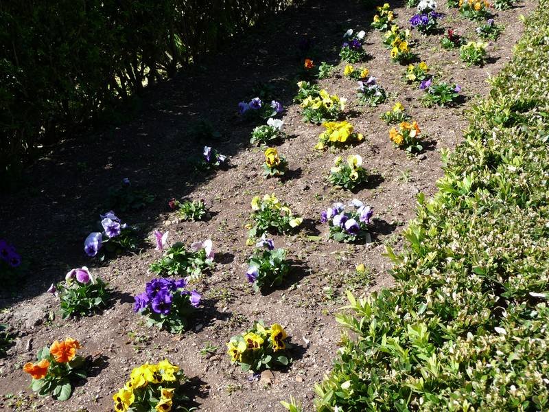 [P1010933+(Medium).JPG]