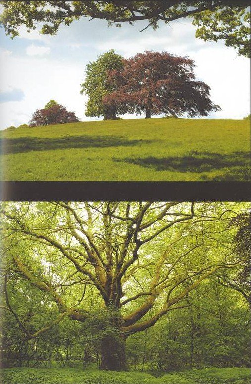 [Digitalizar0003+(Medium).jpg]