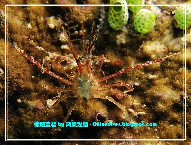 [IMG_2851.jpg]