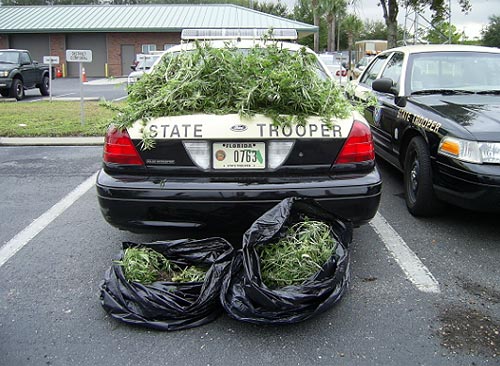 Keep Weed Illegal