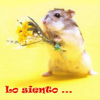 [lo+siento.JPG]