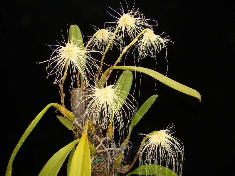 [051109+004+-+Copy+(2).JPG]