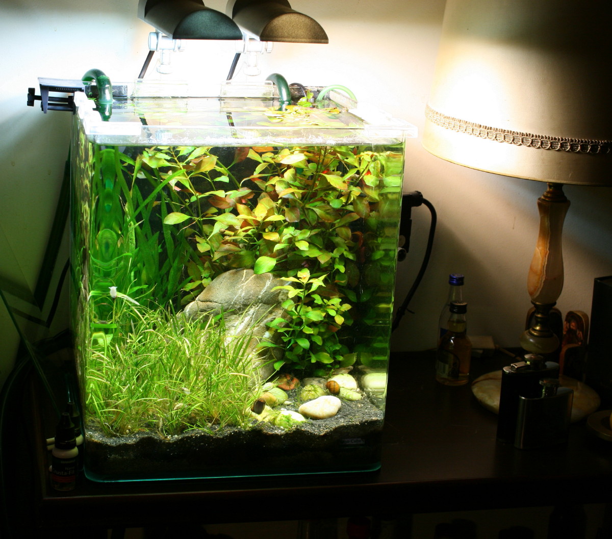 Nano Cube Aquarium Dennerle 30l Swell Uk