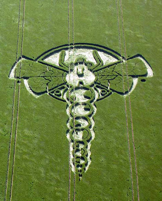 Dragonflies+uk