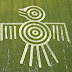 The Aztec Spirit Bird Crop Circle UK 2009