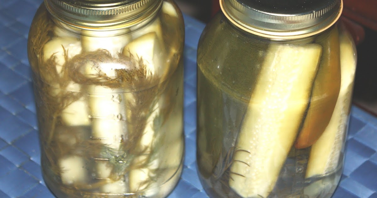 Wild Ed's Texas Outdoors The Best Dill Pickles You Ever Ate