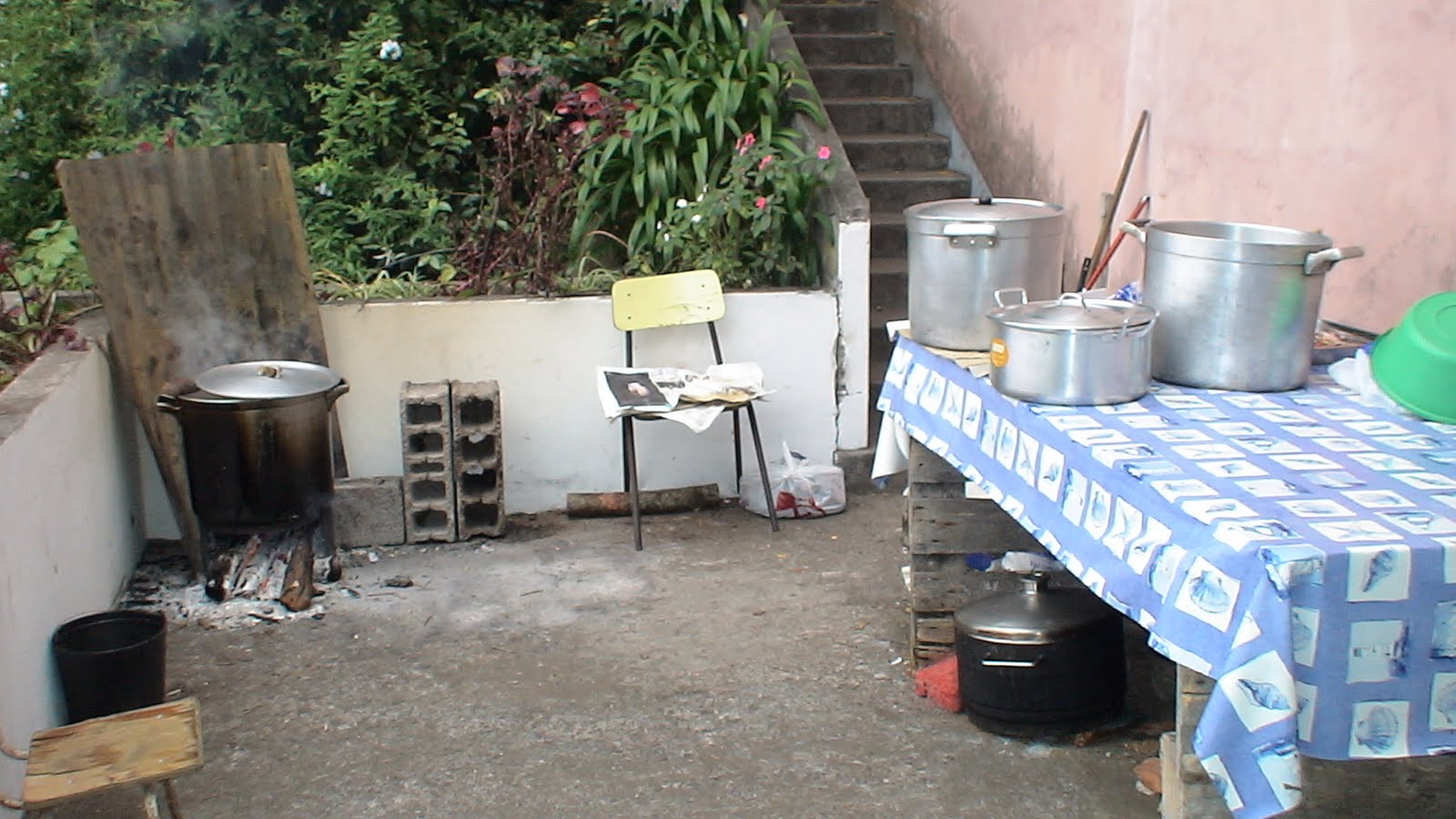 [DSC03103.JPG]