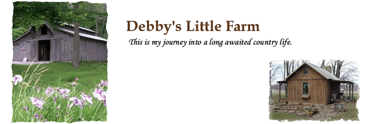 Debby's Little Farm
