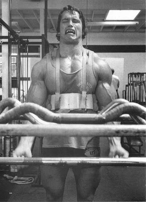Classical Pictures Of Arnold Schwarzenegger