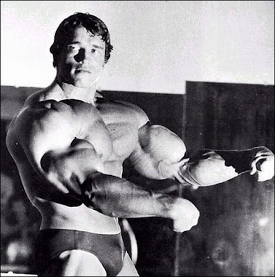 Classical Pictures Of Arnold Schwarzenegger