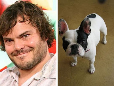 Funny - Similarity Between Celebrities And Animals