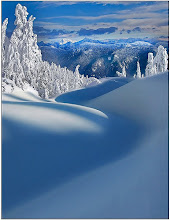 Mi pasión por la fotografía