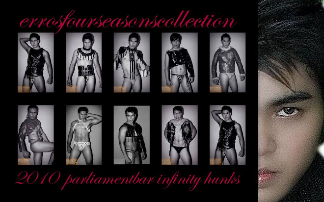 2010 INFINITY HUNKS DON ERROSFOURSEASONSCOLLECTIONS