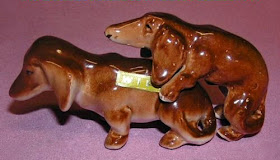 dachshund mating