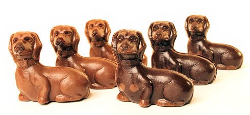 Fetch_Dachshunds6dogs.jpg