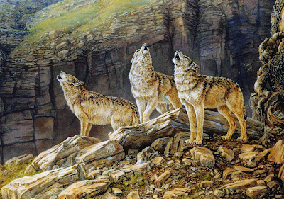 Kathleen V. Butts Wildlife Artist