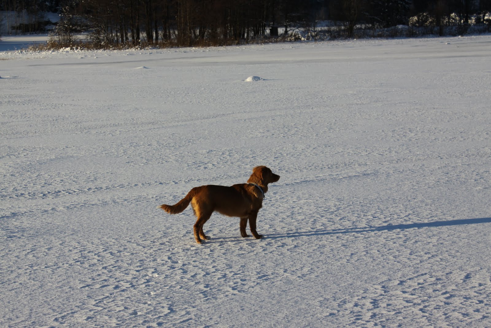 [IMG_2244.JPG]