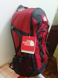 the north face quasar