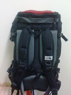 Terra 40