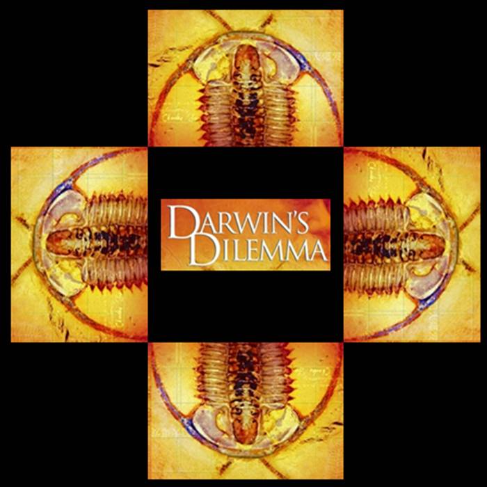 [darwin]