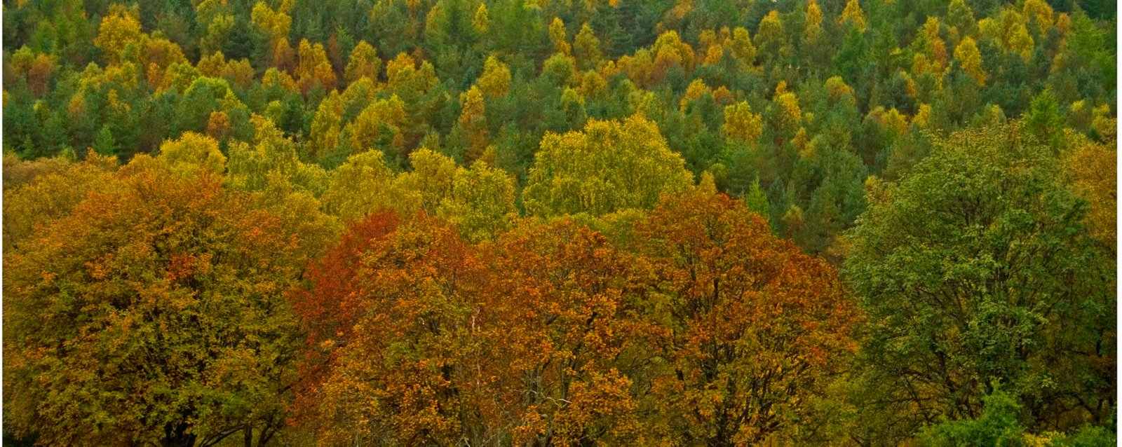 [Autumn+colours.jpg]