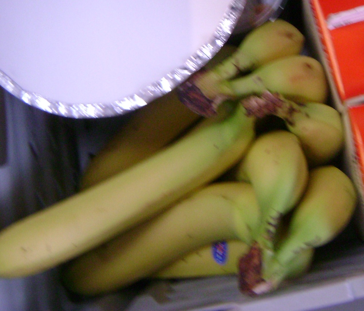 [Bananas.JPG]