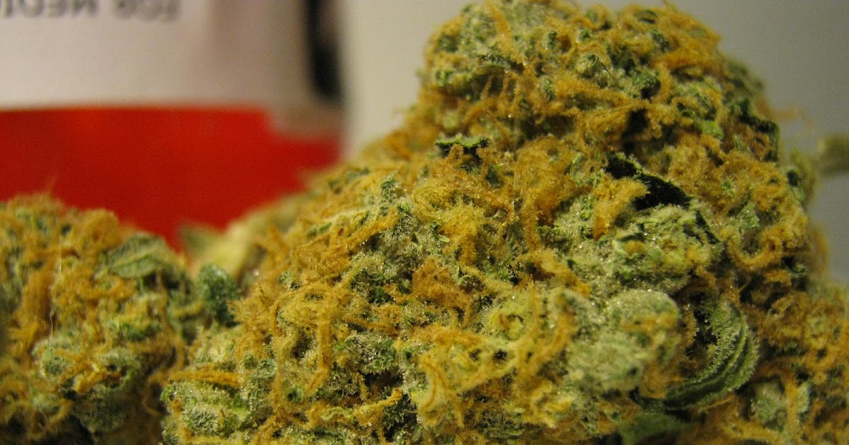 Golden Goat Marijuana Strain Review, Info + Pictures
