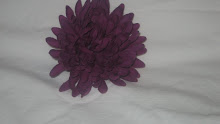 Purple flower #F20
