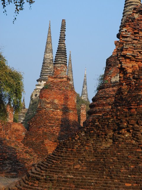 [SSC_4802.JPG]
