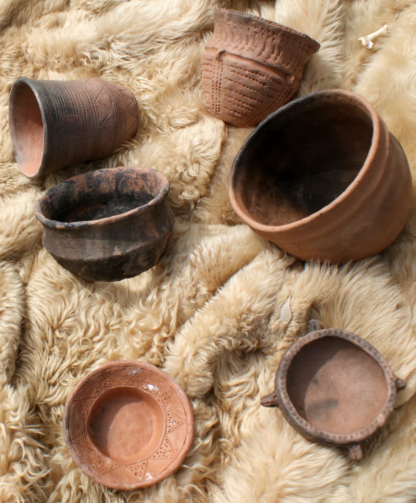Tour Scotland Photographs June 20th Photograph Ancient Pottery Scotland