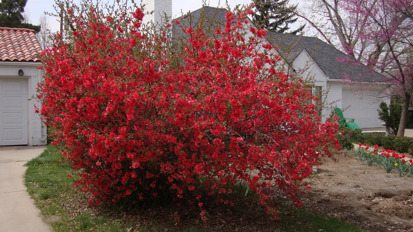 Prairiebreak May 2010