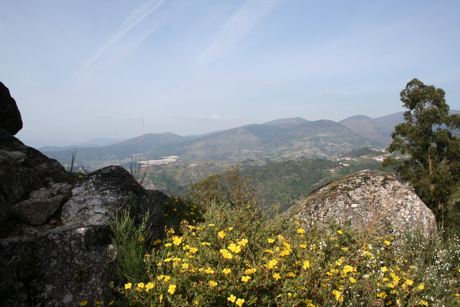[IMG_4067.JPG]