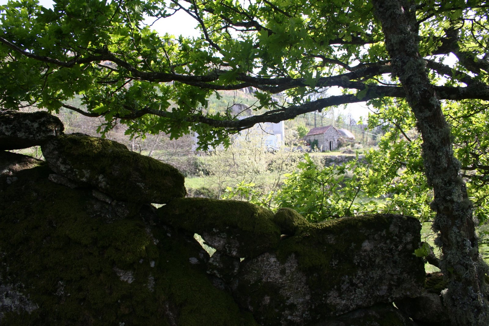 [IMG_4038.JPG]