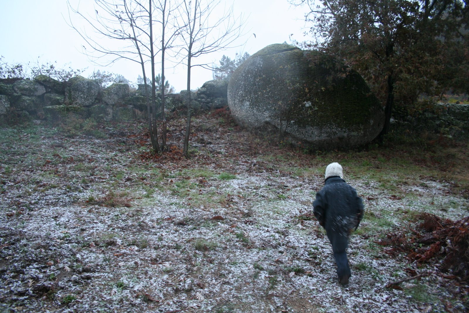 [IMG_2284.JPG]