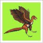 archaeopteryx vulgaris