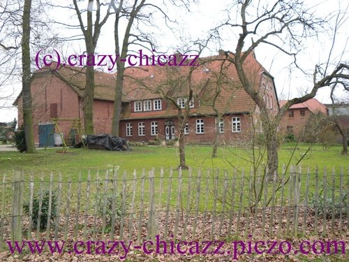 [d32ab2fdc87c.jpg]