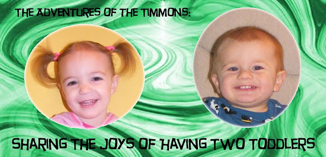 The Adventures of the Timmons: Sharing the Joys of Having Two Toddlers