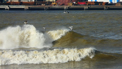 sesión del 25 de noviembre del 2008- getxo