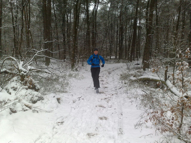 [jan2010KaapseBossen.jpg]