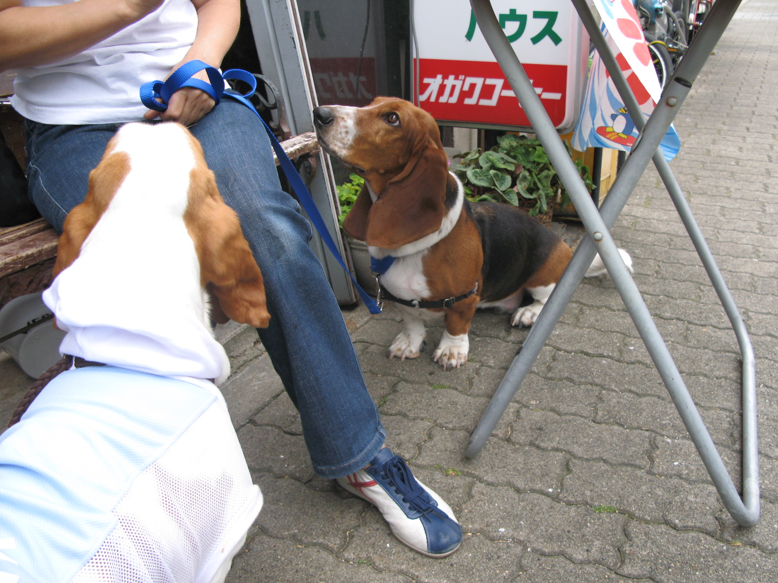 [IMG_1562.JPG]