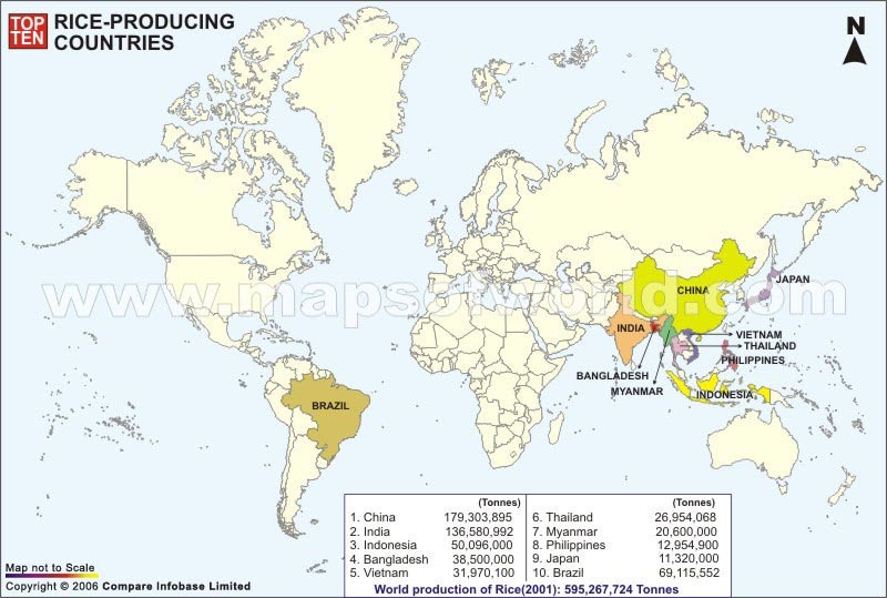 Agriculture(vavasayam) World Top 10 Rice Producing Countries
