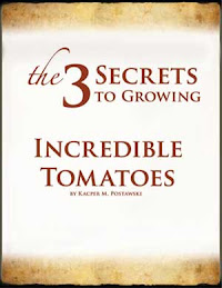 Grow Incredible Tomatoes