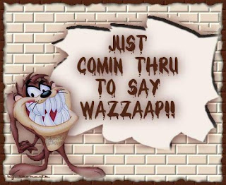 tazmania tazmania