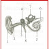 INDRA PENDENGARAN-PHONO RESEPTOR thumbnail