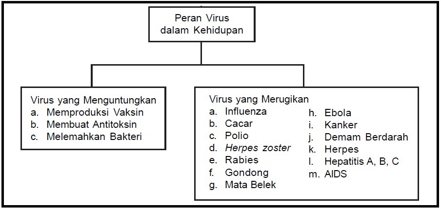 Semua Tentang Sma Dan Edukasi Menjelaskan Ciri Ciri Virus Kingdom Protista Monera Dan Fungi Serta Peranannya Bagi Kehidupan