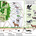 FOOD CHAINS thumbnail