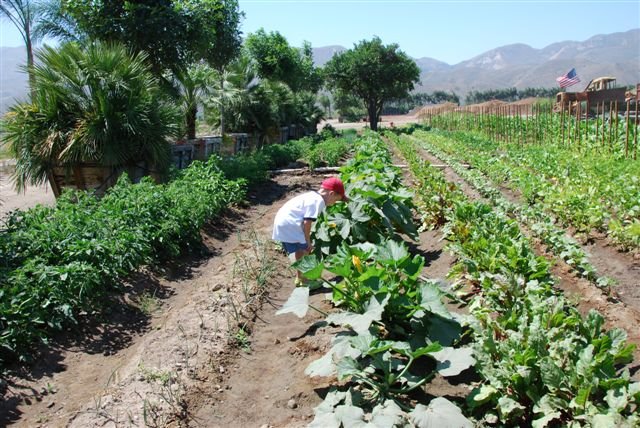 [DSC_0012-797778.JPG]